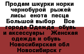 Продам шкурки норки, чернобурой, рыжей лисы, енота, песца. Большой выбор. - Все города Одежда, обувь и аксессуары » Женская одежда и обувь   . Новосибирская обл.,Новосибирск г.